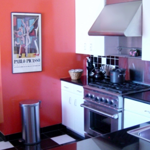 Venice Beach Contemporary Castle Designed by Architect Kenneth M. Williams - Kitchen Range Area